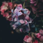 In Loving Memory of John Edward Kepfer III Death & Obituary : A Life of Kindness, Love, and Lasting Impact