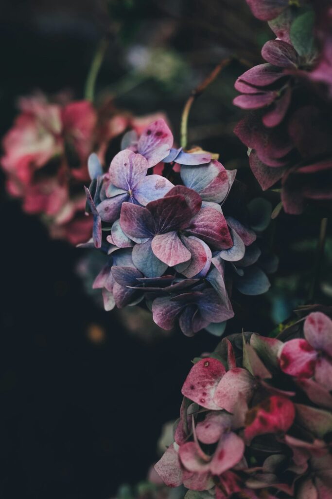 In Loving Memory of Vincent Zire Robles Aled Death & Obituary : A Life of Kindness and Purpose