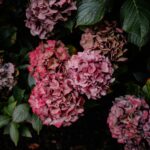 Abigail Lauren Lutz Obituary: Remembering a Beloved Daughter, Sister, and Friend